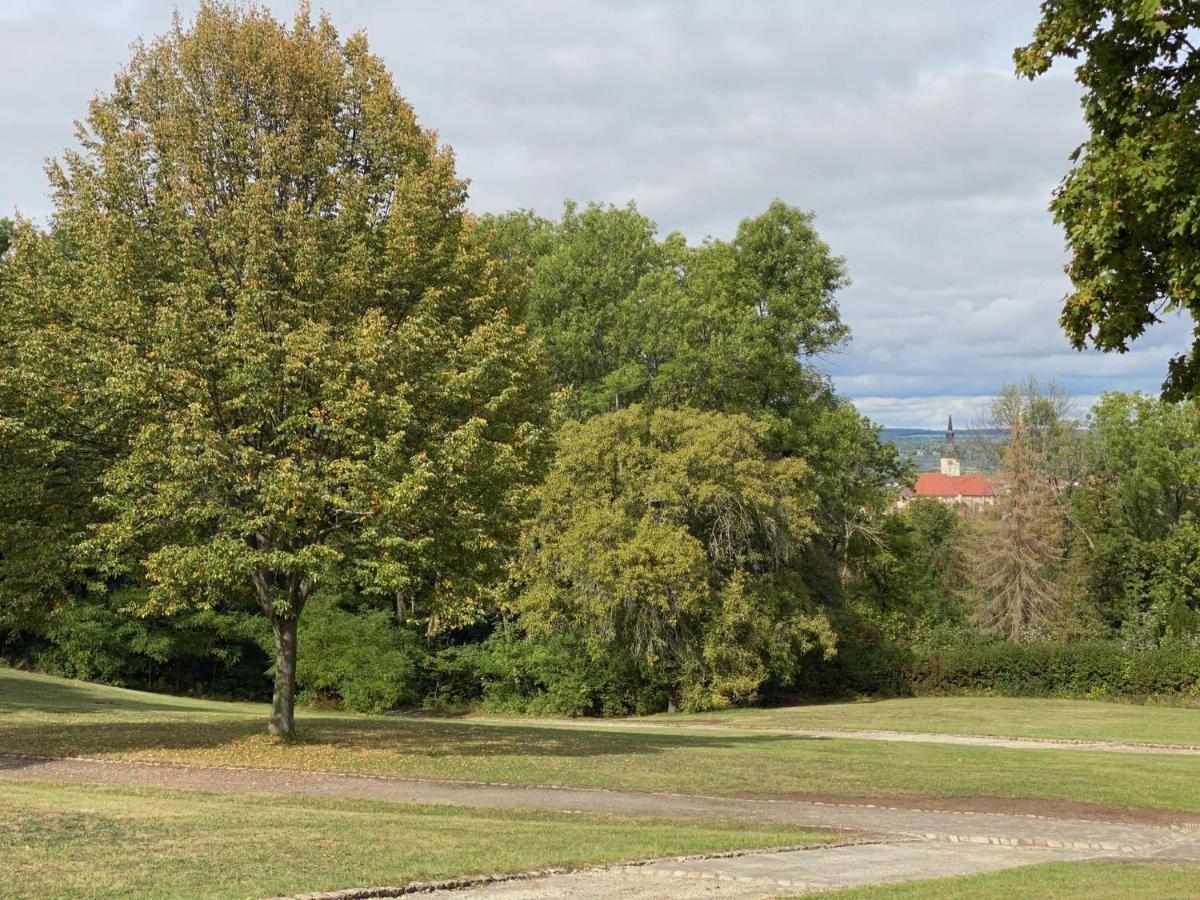 Ferienwohnung Micha'S Stadtblick Naumburg  Dış mekan fotoğraf